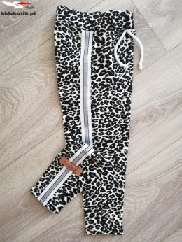 Spotted leopard-print leggings with lampasem