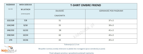 T-shirt ombre Friend - chaber T-shirt ombre Friend - chaber