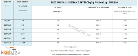 Elegancka sukienka z błyszczącą aplikacją i tiulem Elegancka sukienka z błyszczącą aplikacją i tiulem